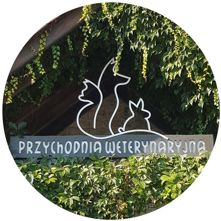 Szyld Fordońskiej Przychodni Weterynaryjnej z metalowymi sylwetkami psa, kota i królika na ścianie porośniętej bluszczem
